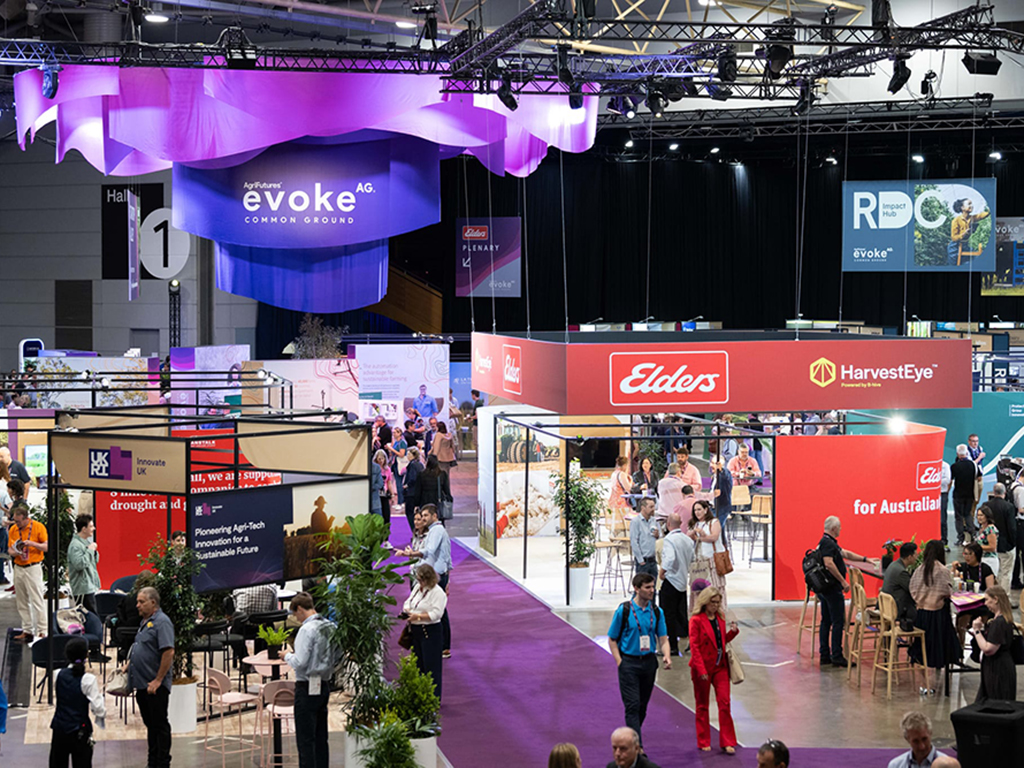 evokeᴬᴳ Common Ground